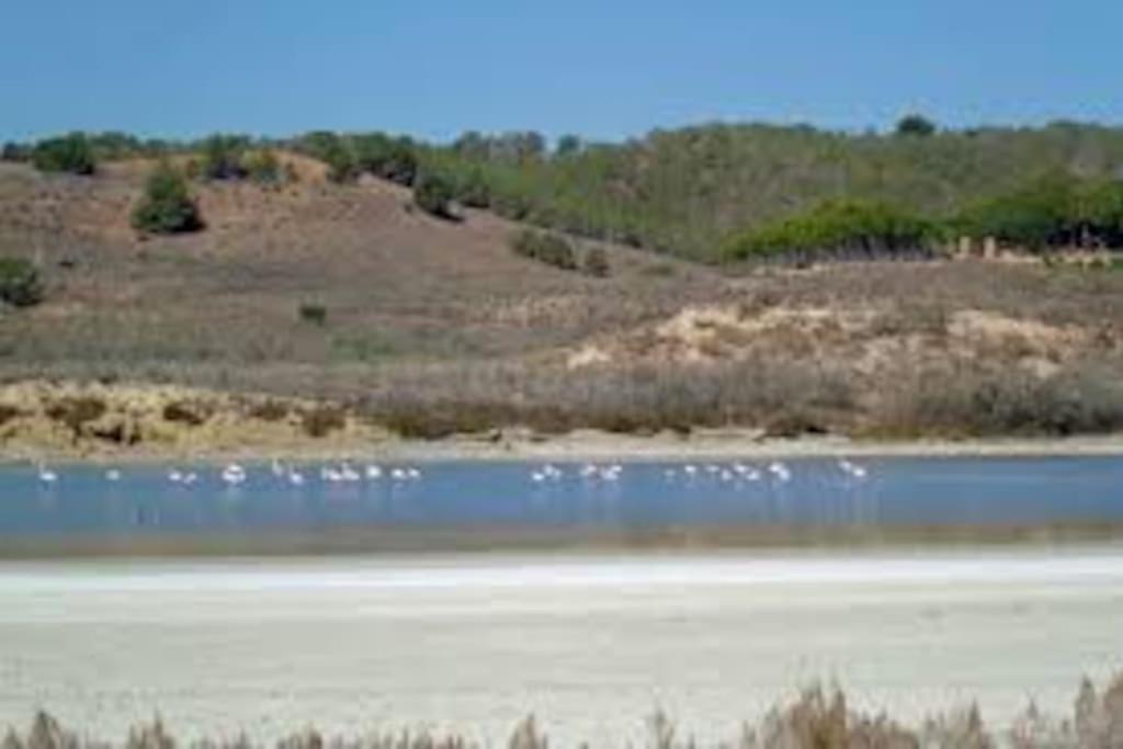 Muy Grande, Con Piscina Y Pistas Holiday home *